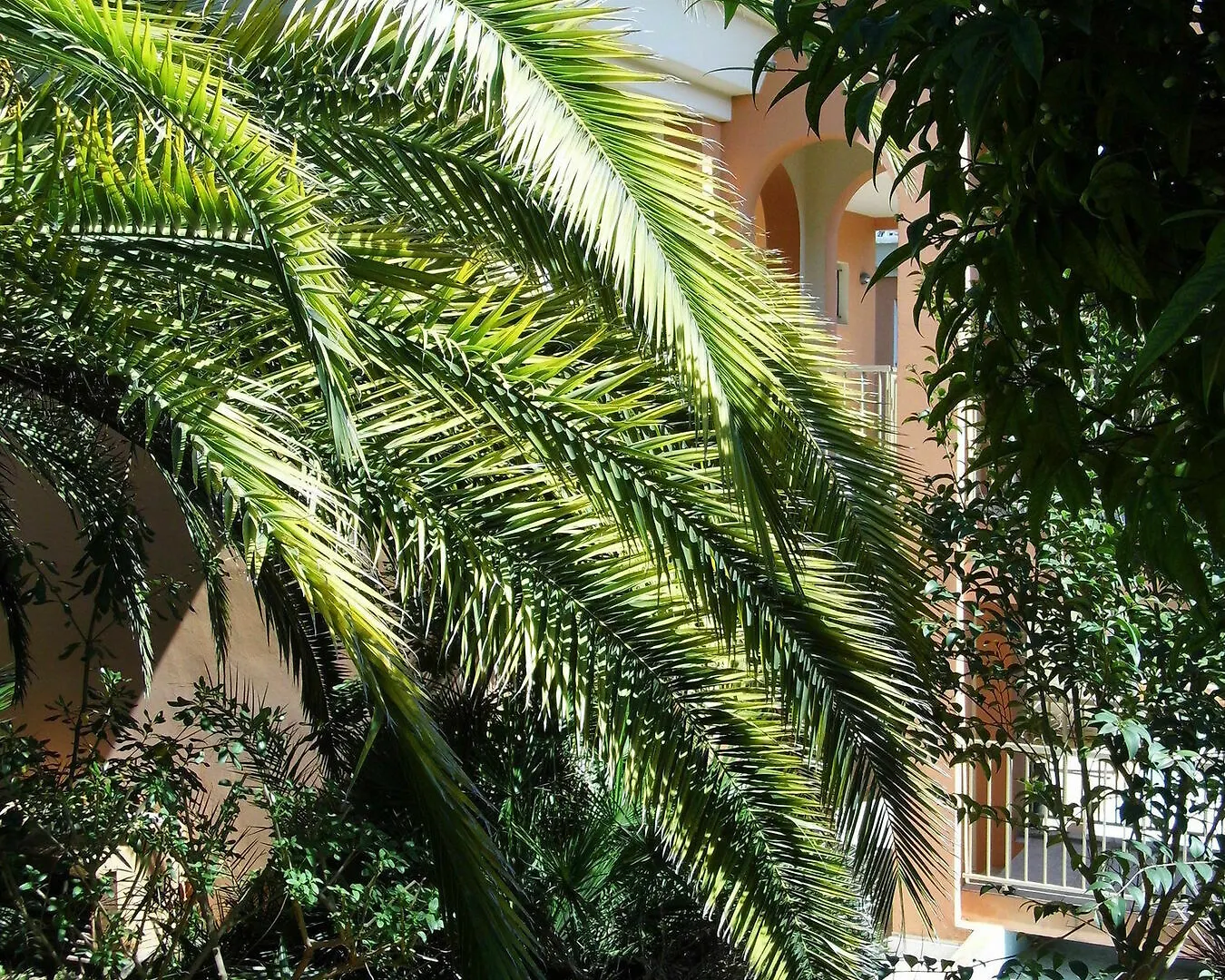 Anis Hotel Nizza